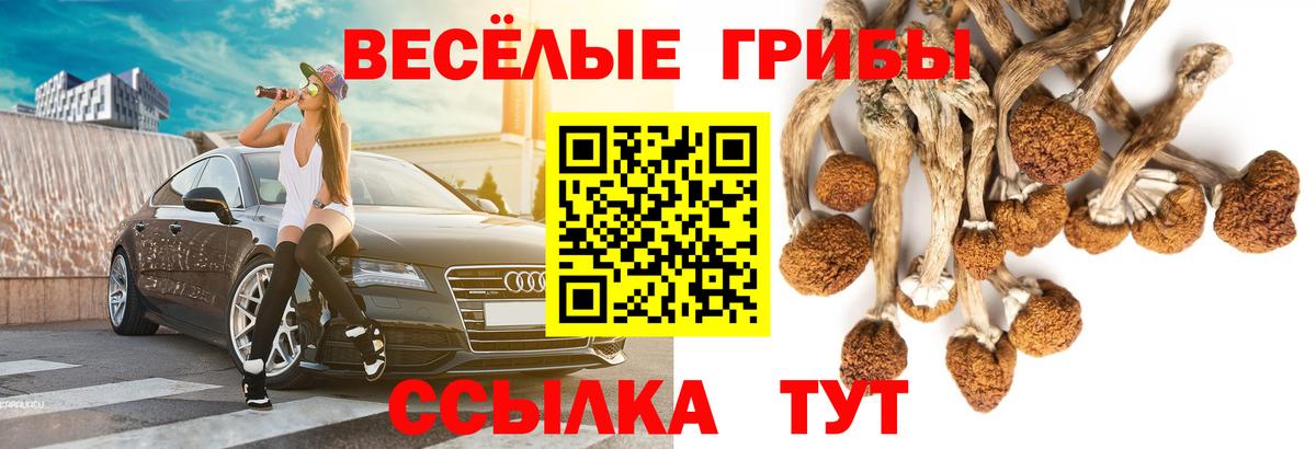 Псилоцибиновые грибы MAGIC MUSHROOMS Кудрово